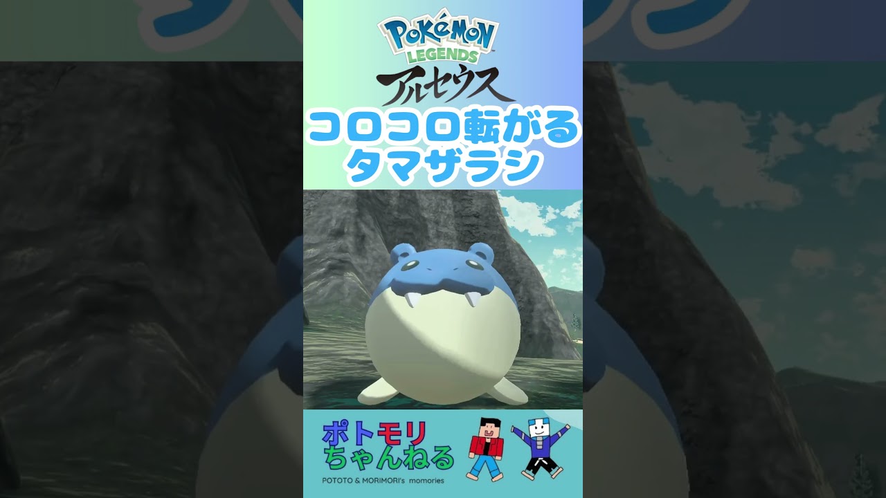 【ポケモンレジェンズアルセウス】コロコロ転がるタマザラシ  #switchおすすめ #ポケモンレジェンズアルセウス #ポケモン進化 #pokemonlegendsarceus  #親子でゲーム