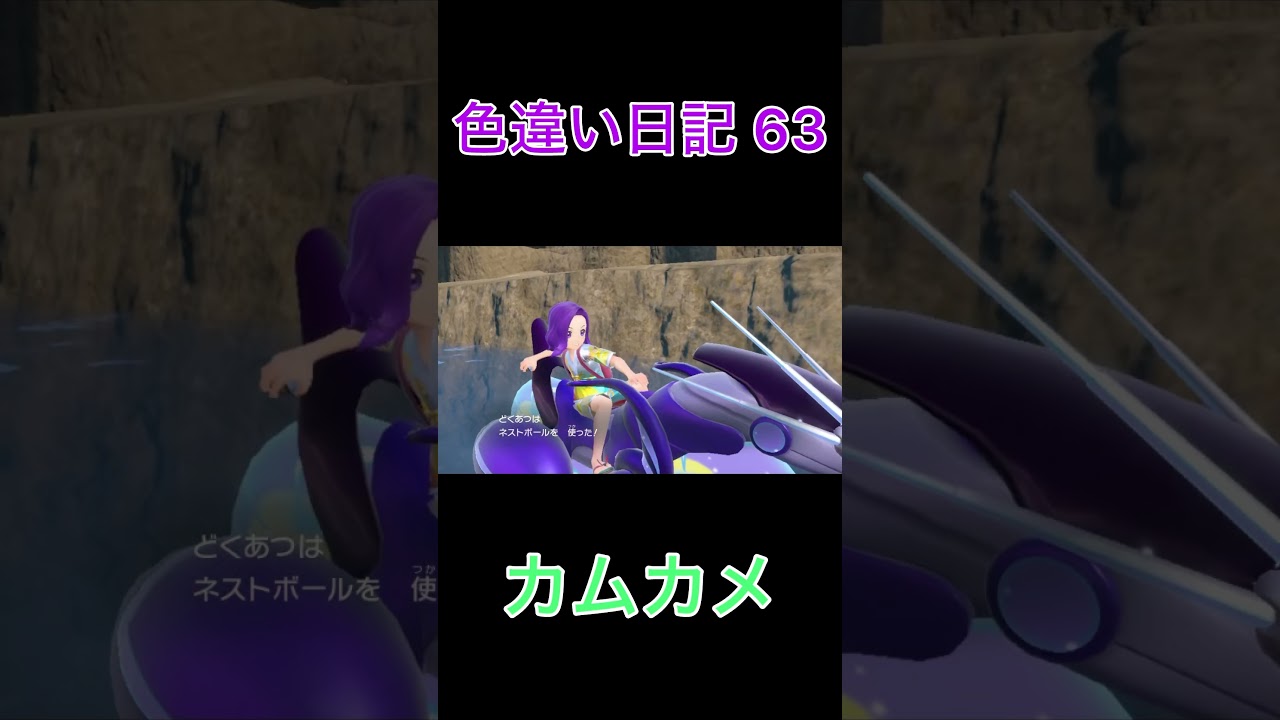 【ポケモンSV】カムカメ 色違い日記63 #shorts #ポケモン
