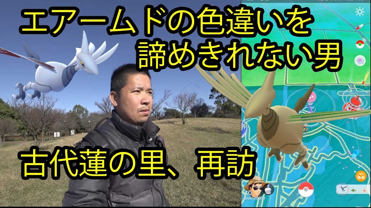 【ポケモンGO】エアームドの色違い求めて古代蓮の里リベンジ
