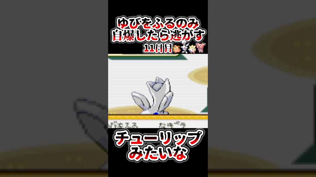 ついに進化したトゲチックが強すぎるしかわいい