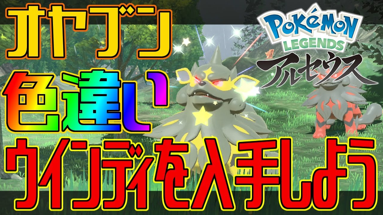 【ポケモンアルセウス】オヤブンの色違いウインディを入手しよう【Pokémon LEGENDS アルセウス】