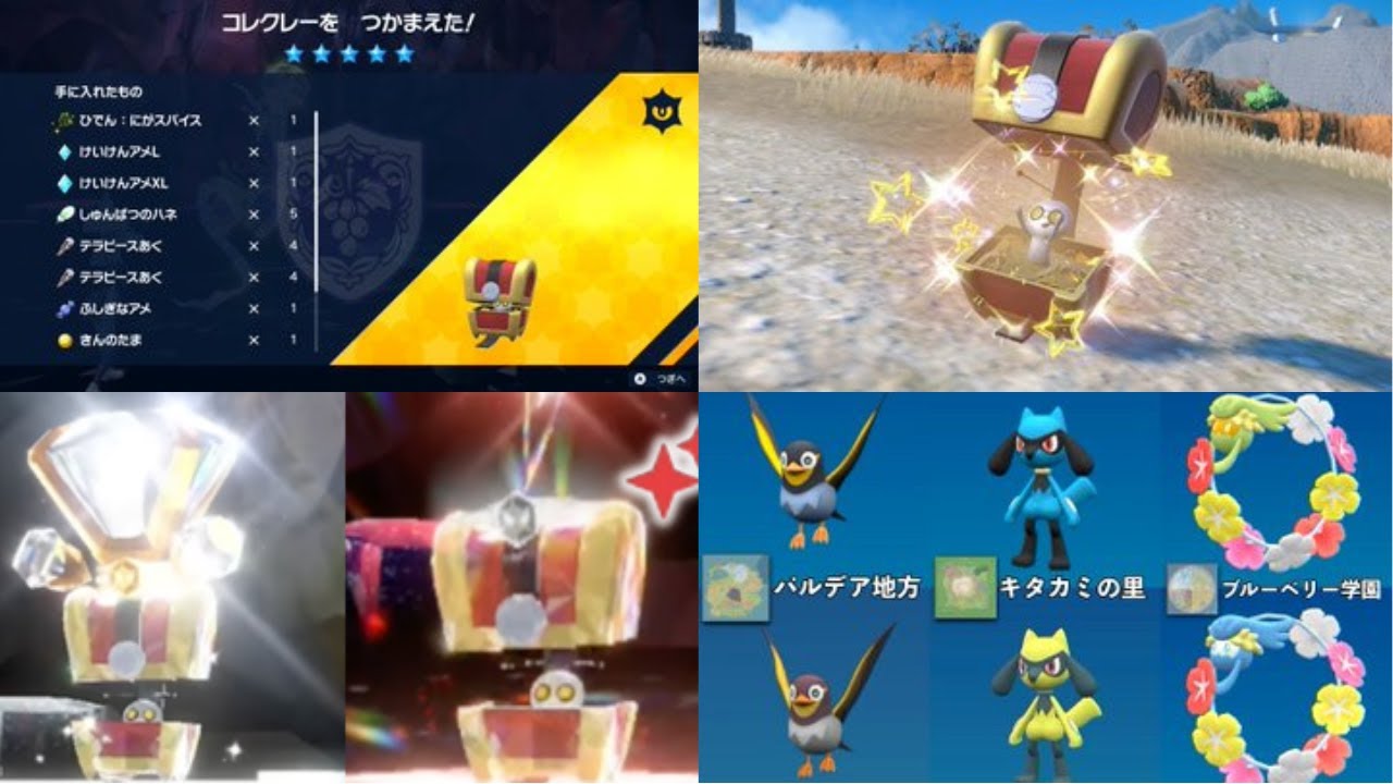 【ポケモンSV】色違い証付きのカイデン　リオル　キュワワーを見つけよう！※概要欄要確認必須【ポケモンSV配信】