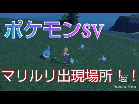 ポケモンSV マリルリ出現場所！！参考動画