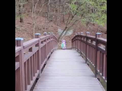 가라르 포니타 ( Galarian Ponyta ) ガラルポニータ ( 小火馬 )