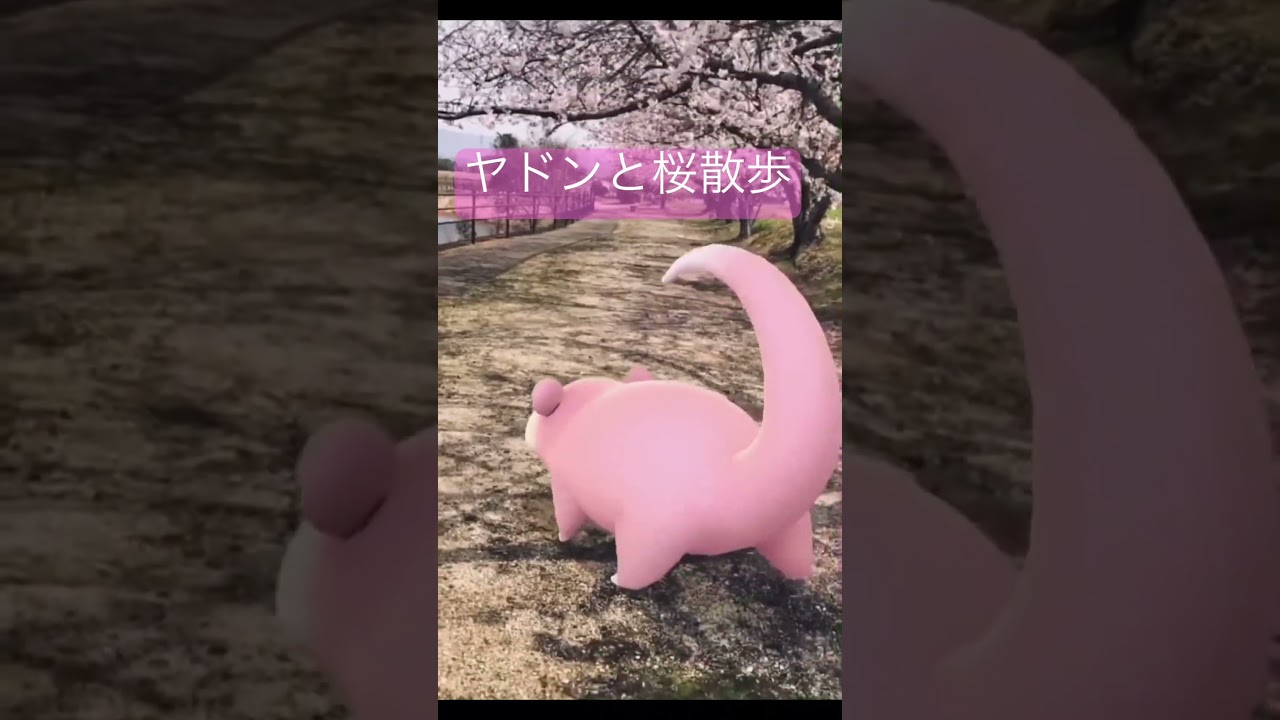 ヤドンと桜散歩2