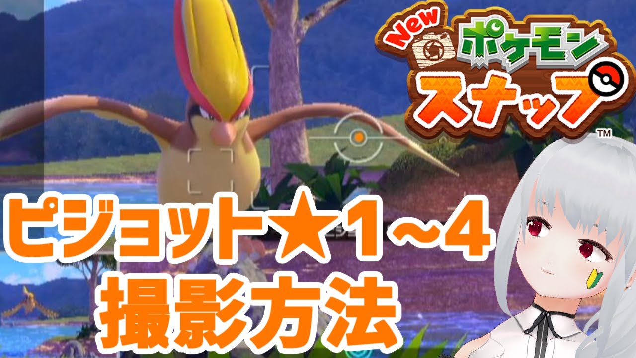 Newポケモンスナップ攻略 ピジョット ☆1/☆2/☆3/☆4 撮影方法解説！