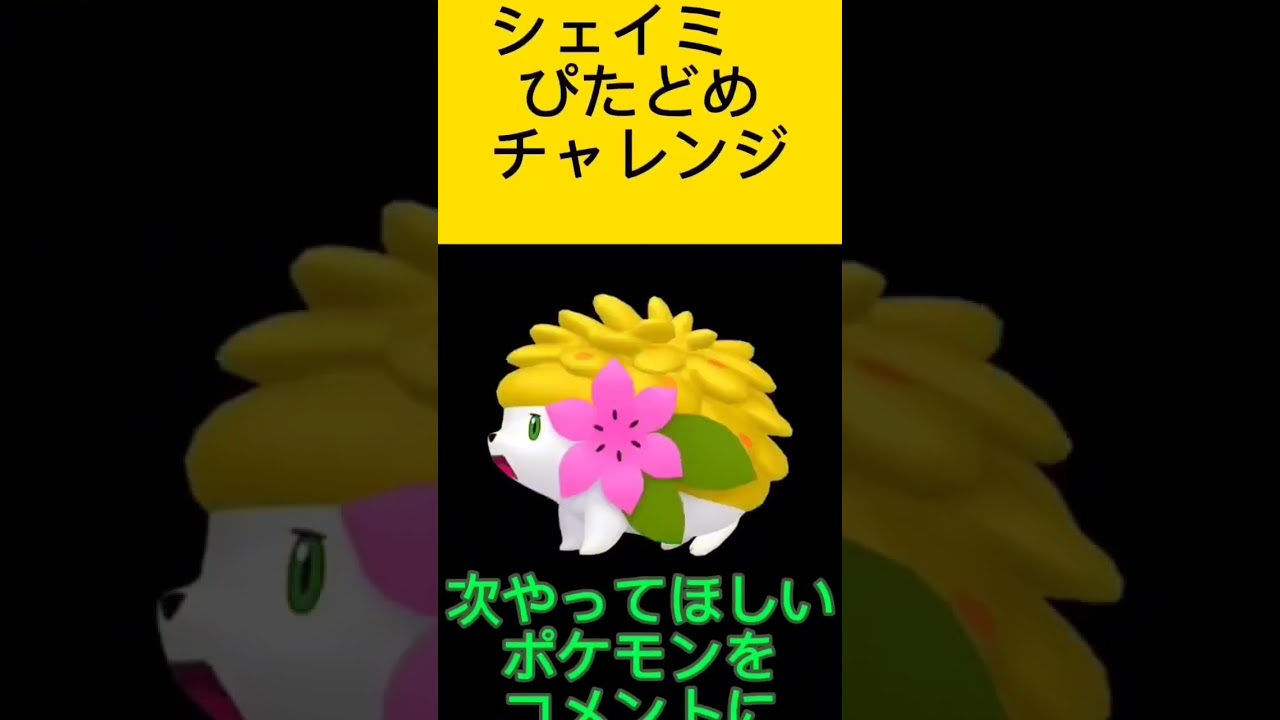 ポケモンぴたどめチャレンジ！シェイミ編！視聴者リクエスト