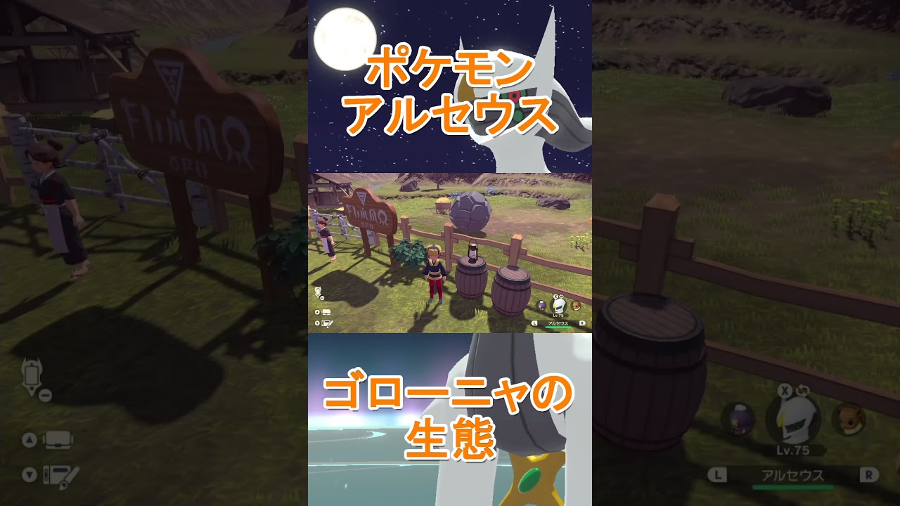 ゴローニャの収納【ポケモンアルセウス】