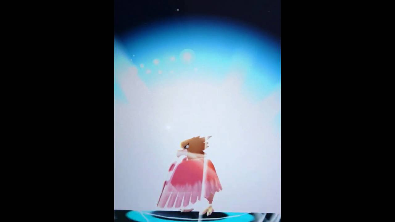 大人気！！ポケモンGO　進化！！　　オニスズメからオニドリル　Very popular! ! Pokemon GO evolution! ! Fearow from Onisuzume