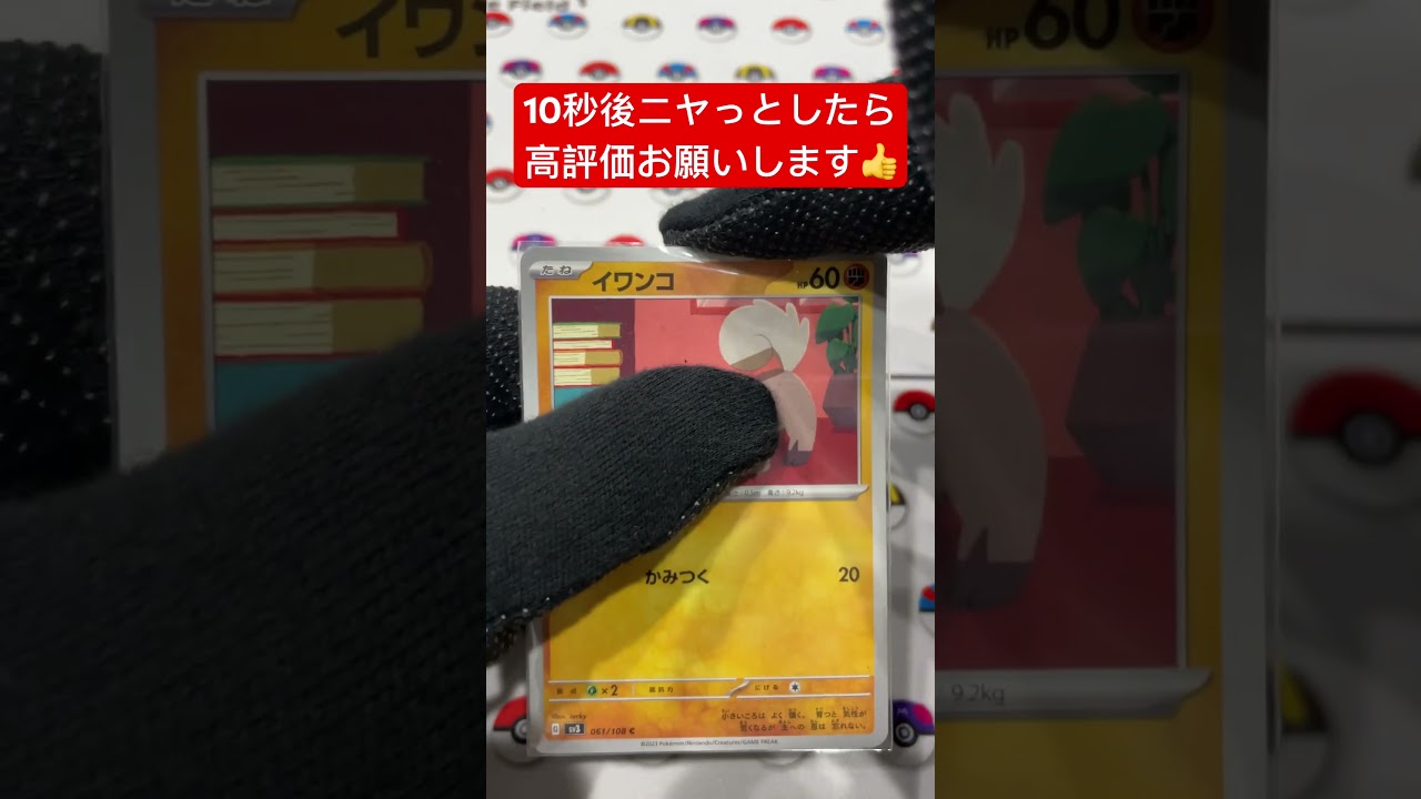 イワンコの目が進化！コメント欄に感想お願いします🪦#shorts