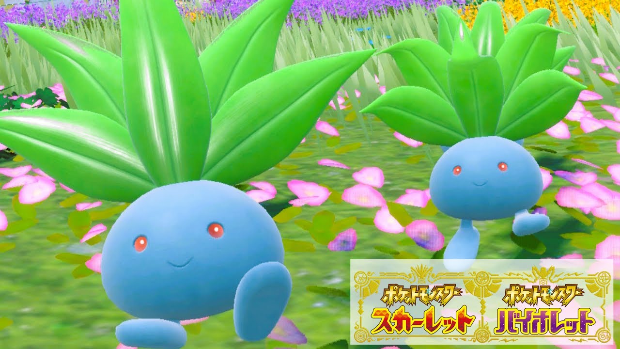 ナゾノクサ６匹に囲まれて癒されピクニック【ポケモンSV】