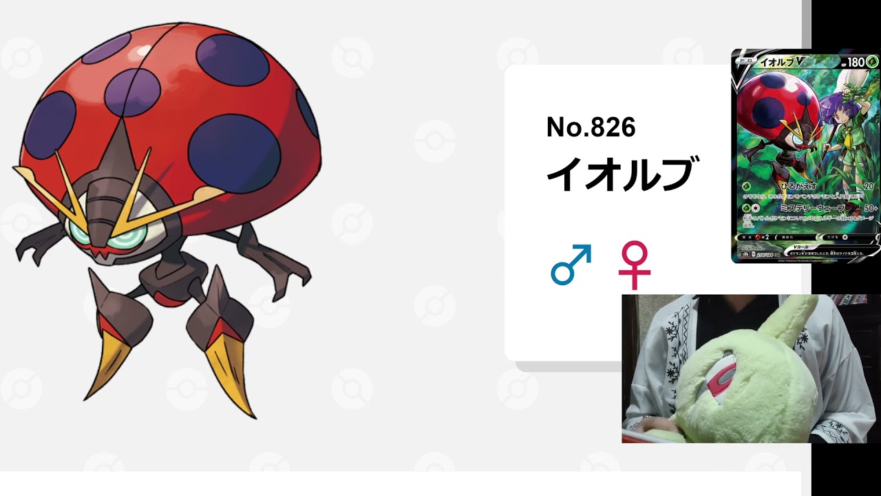 ゆるっとポケモン図鑑 22日目　No.826イオルブ