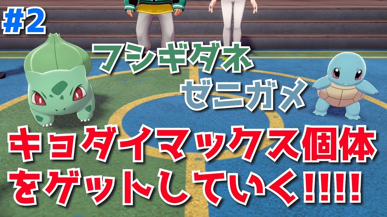 【ポケモン剣盾】鎧の孤島　遊んでいく #2　フシギダネかゼニガメどっちを選ぶ！？慣らしの洞穴はどこ？