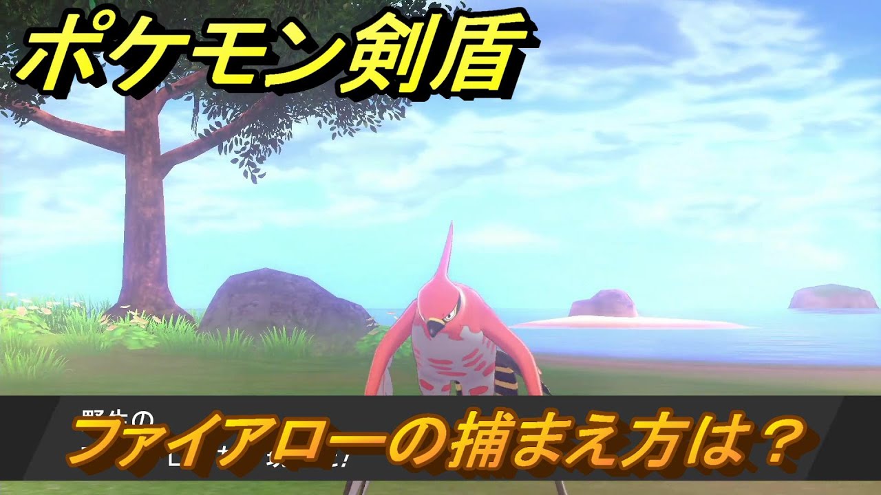 ポケモン剣盾　ファイアローを捕まえる方法！オススメの場所は？天気は？ポケモン図鑑コンプへの道！　最新版【ポケモンソード・シールド】
