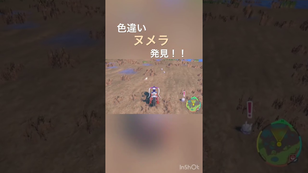 【ポケモンSV】色違いヌメラ発見！#ポケモンsv #ポケモン #ポケットモンスター #ポケットモンスタースカーレット