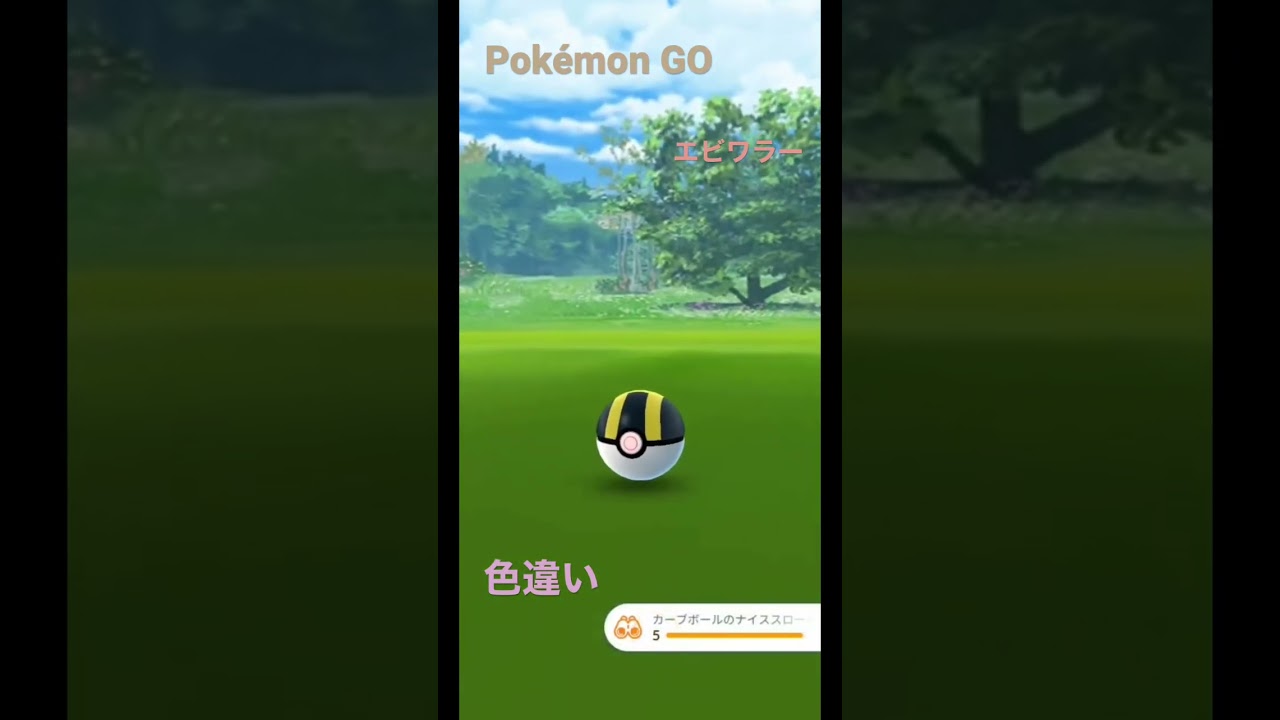 【Pokémon GO】エビワラー　色違い　#ポケモンgo