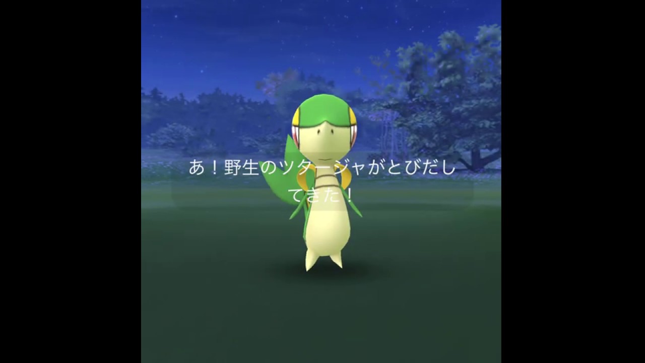 【ポケモンGO】ツタージャ、捕獲大作戦！ No.1