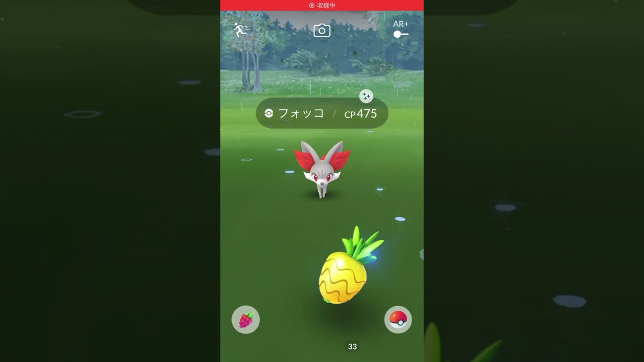 ポケモンGo フォッコ色違い！コミュニティデイ　進化　テールナー　Pokémon GO
