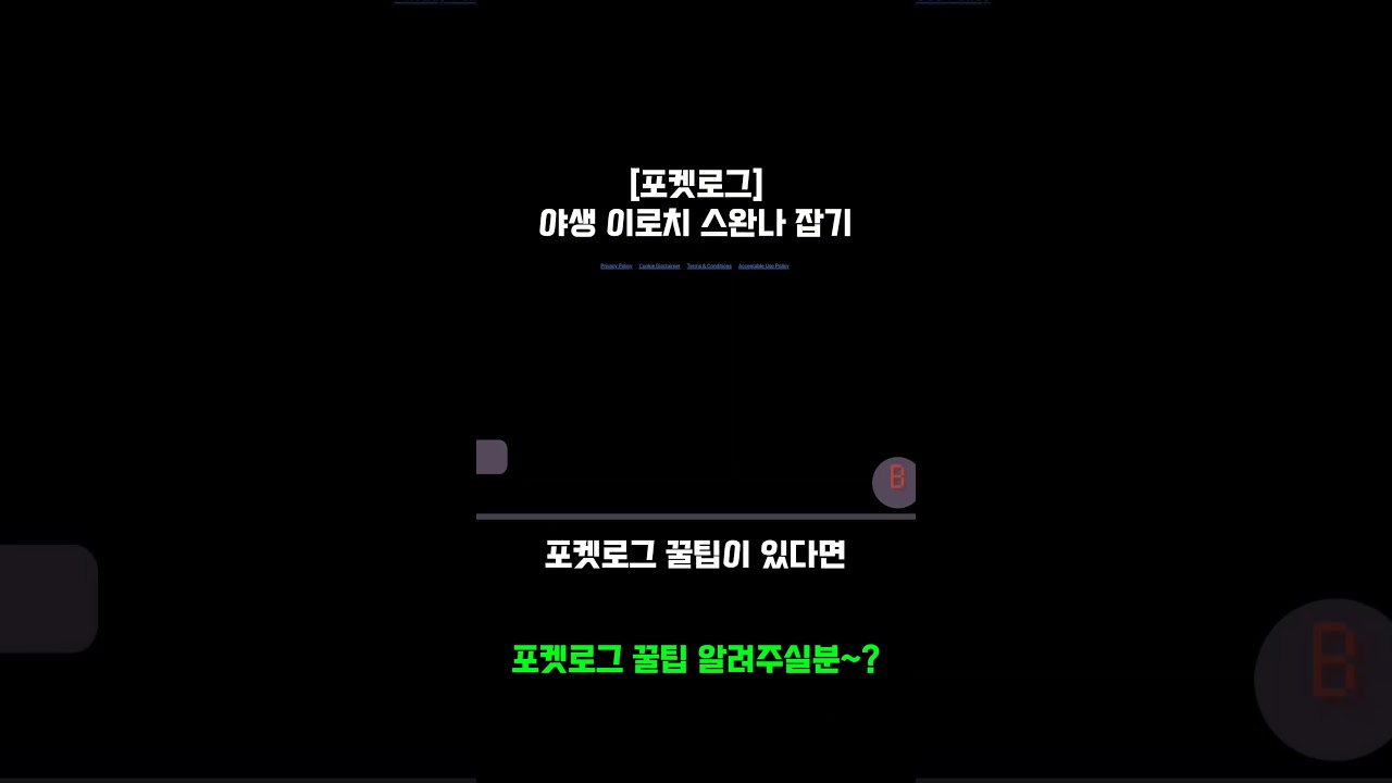 [포켓로그] 야생 이로치 스완나 잡기 #게임 #포켓몬고 #포켓로그 #모바일게임 #포켓몬 #모바일 #pokemon #비트코인 #automobile #smartphone