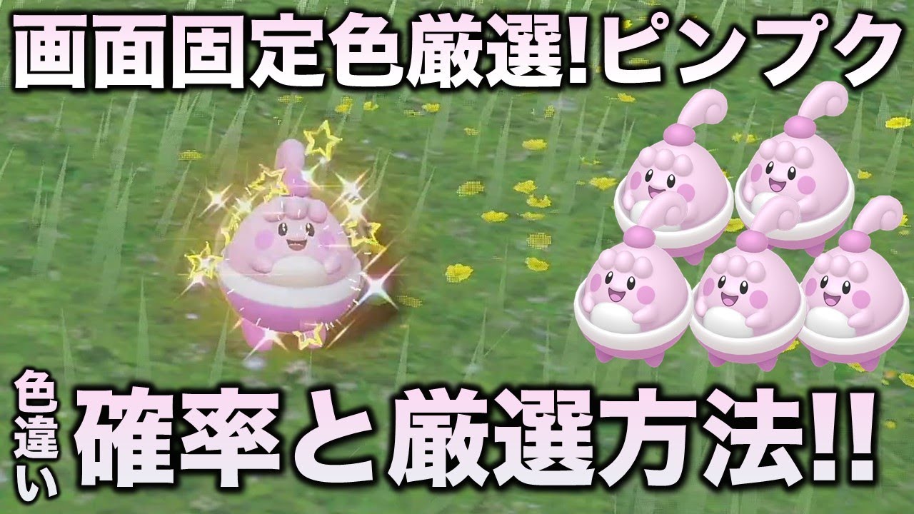 【画面固定!!色厳選】ピンプク編!!【ポケモンSV/スカーレット・バイオレット】