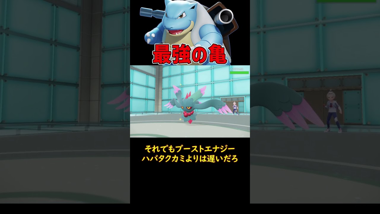 全てを倒すカメックス