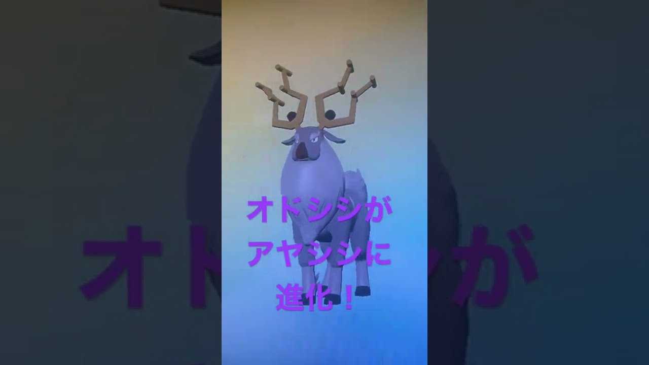 オドシシが、アヤシシに進化しました！　バリアラッシュ20回したぞい。【pokemonLEGENDSアルセウス】【shorts】