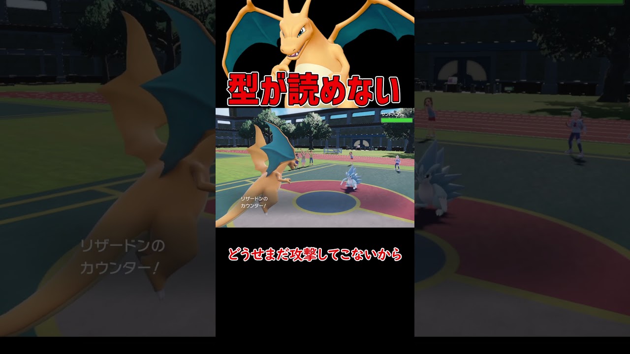 型が読めないリザードン