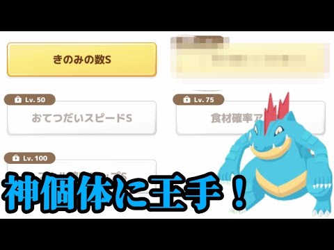【ポケスリ】最強のオーダイル爆誕するか⁉【ポケモンスリープ】【POKEMON】