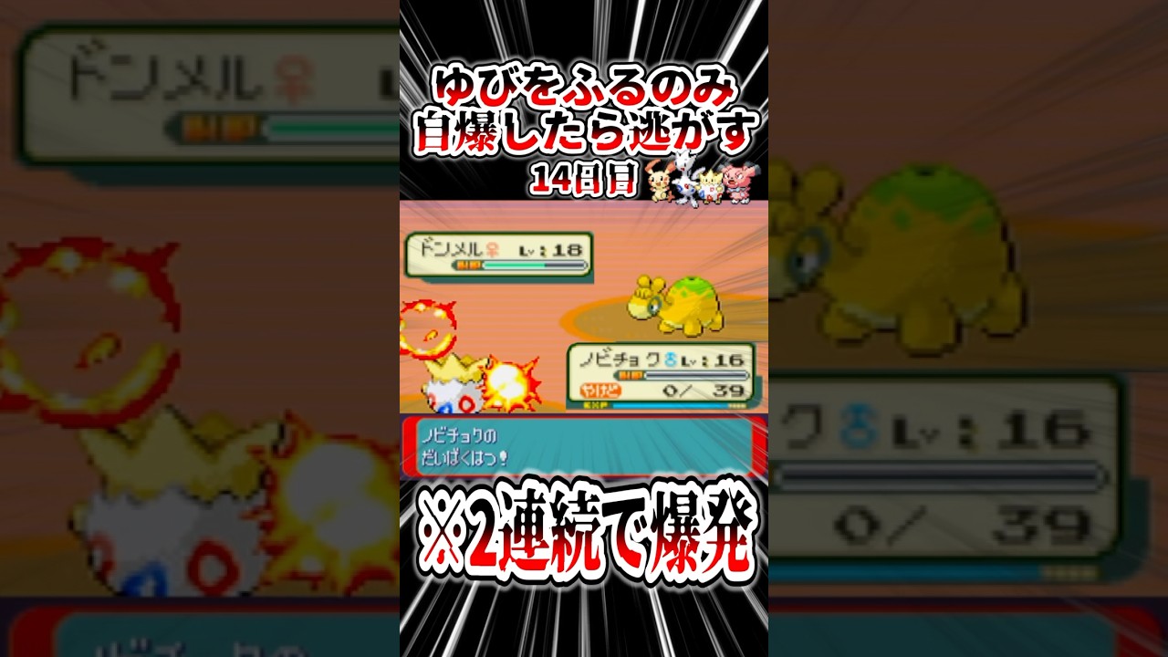 バイバイ、トゲピー。