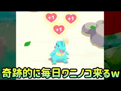 【ポケスリ】毎日ワニノコ来てくれるの神すぎる【ポケモンスリープ】【POKEMON】