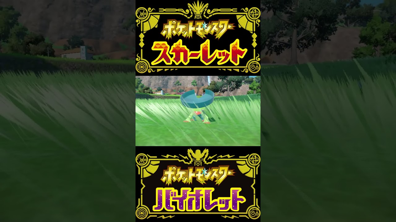 【ポケモンSV】フレボ入り色違いハスボー/ハスブレロ/ルンパッパ #short