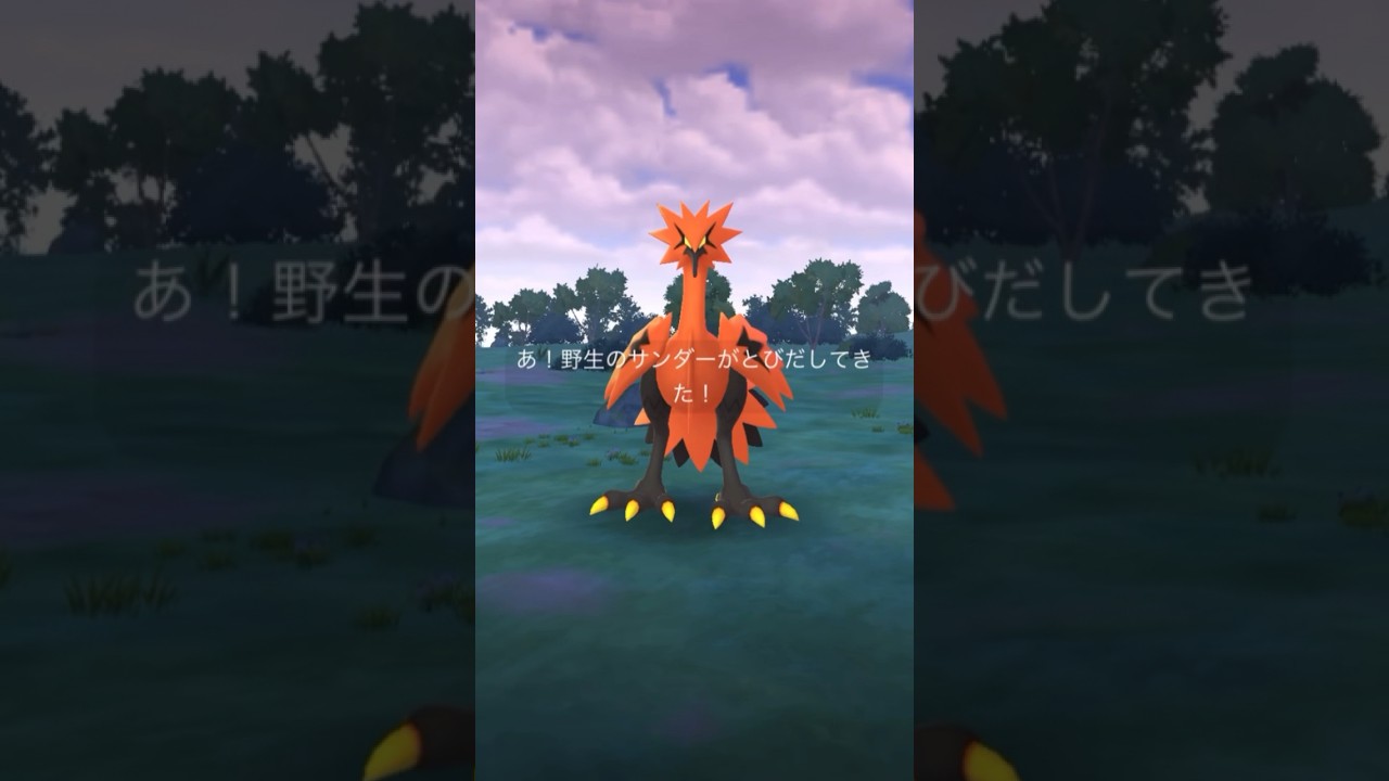 久しぶりにおさんぽおこうからガラルサンダーが出てきたけど…