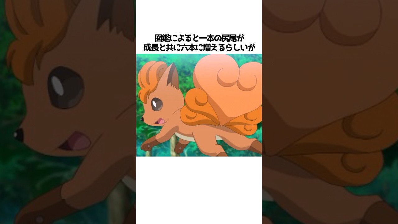 【ポケモン】ロコンに関する面白い雑学#shorts
