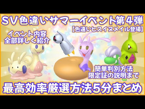 夏イベ第4弾 色違いヒスイヌメイル他5種＆証確率アップイベ 最高効率厳選5分まとめ #ポケモンsv #最高効率 #色違い #ヌメラ ＃ヌメイル #ヒスイのすがた #ヨーギラス #タツベイ ＃ダンバル