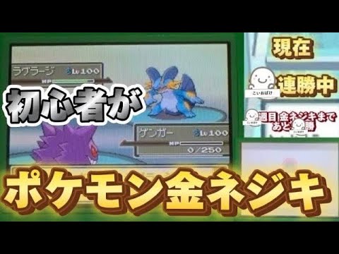 ポケモンプラチナ 金ネジキ！ 49連勝を目指して奇跡を起こす→マイクラ