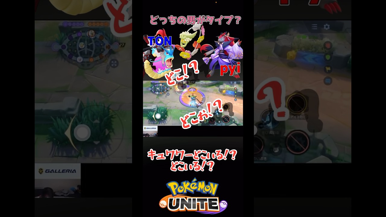 ハートを射止めるのはどっち！？野良キュワワーに翻弄される世界チャンピオン達 #shorts #ポケモンユナイト#pokemonunite