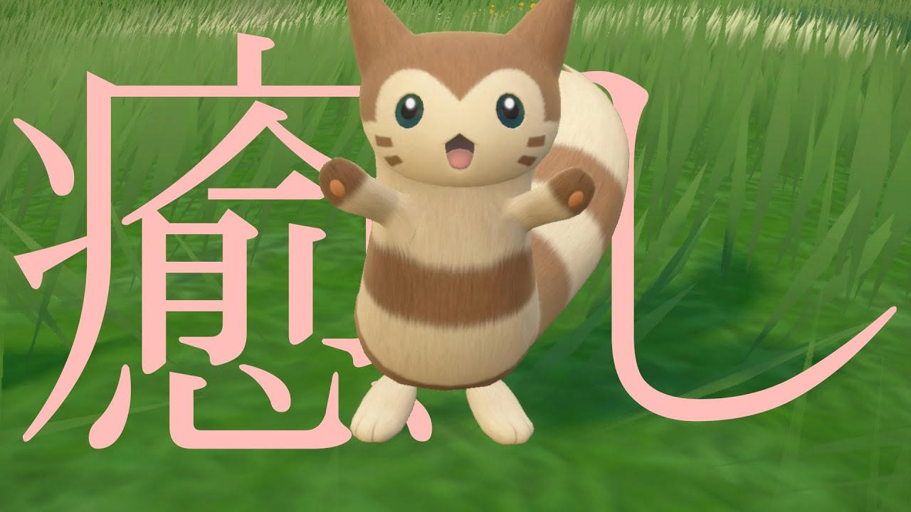 【#ポケモンsv 】オオタチに癒される色厳選！ 色証を狙いつつ雑談とか #色違い #証