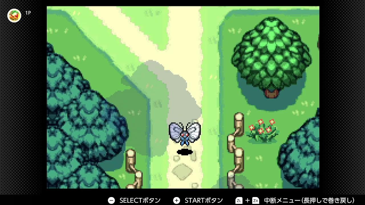 体はグミを求めるポケダン赤