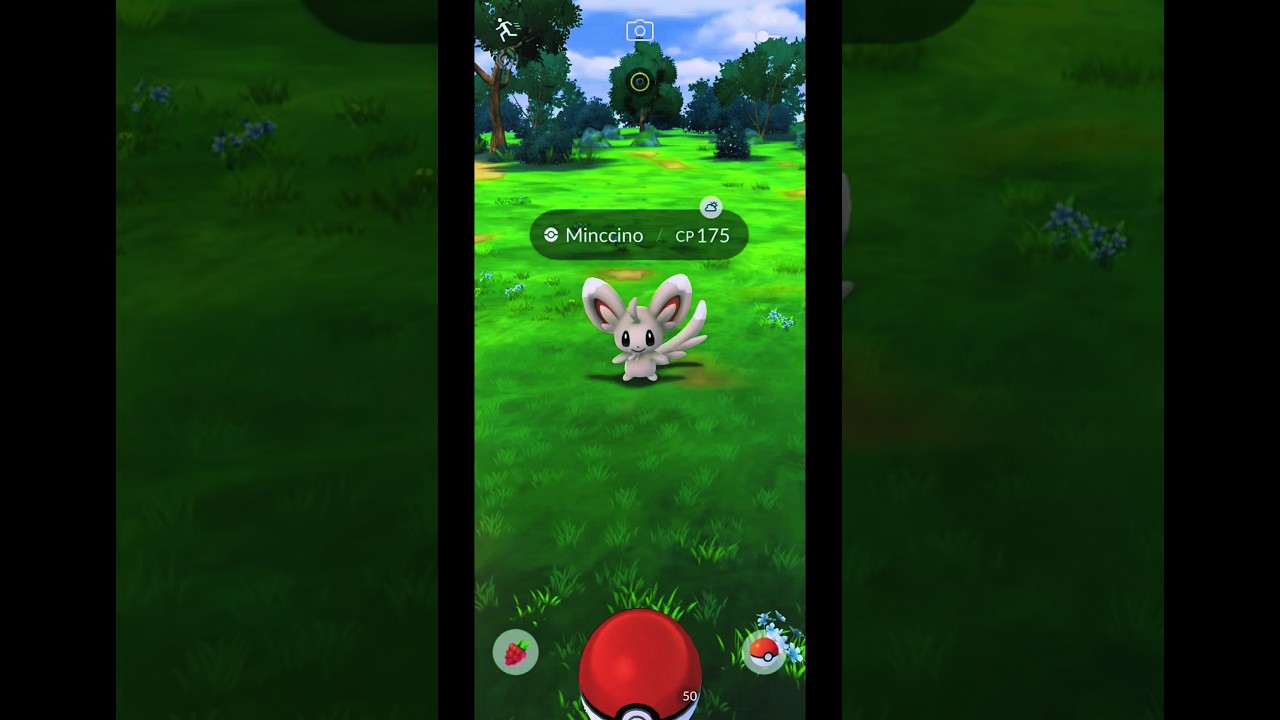 I Caught a Wild Minccino Pokemon GO Indonesia Today #Shorts #Minccino #PokemonGO