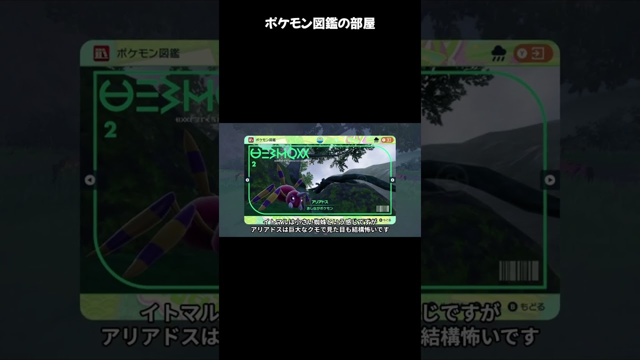 キタカミ図鑑 解説　イトマル・アリアドス