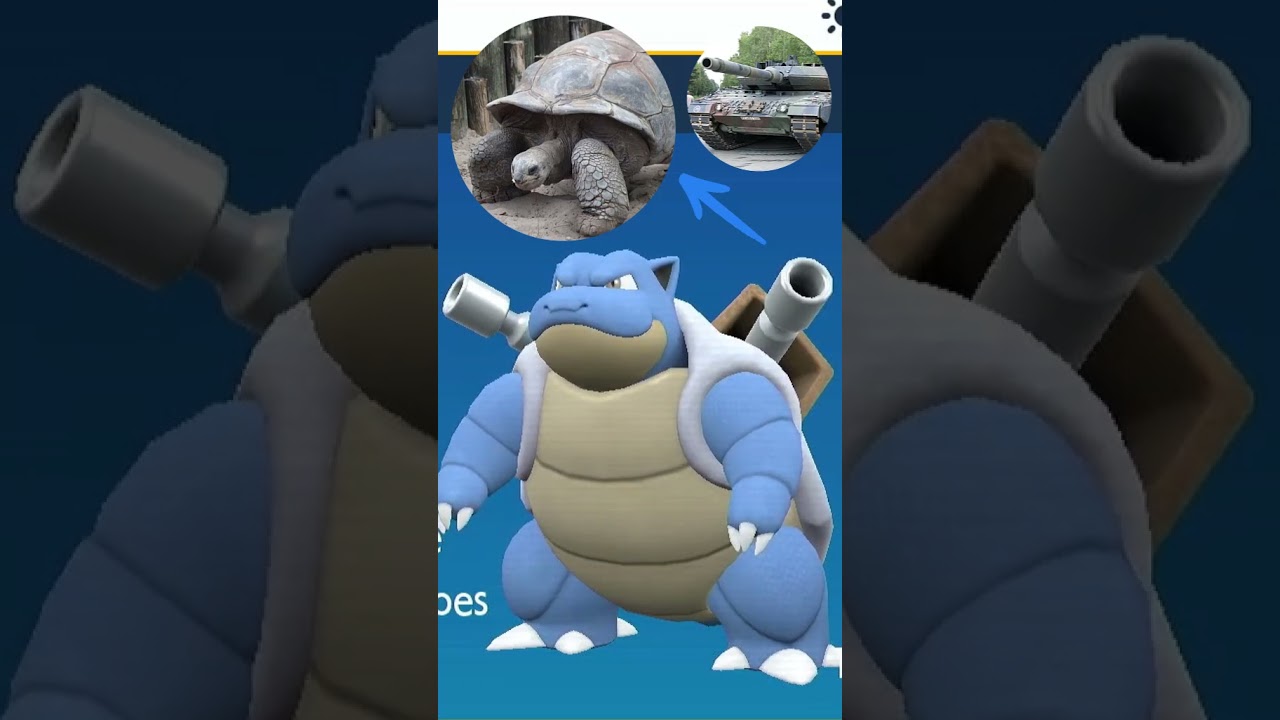 Blastoise - Inspiração -  #pokemon #kantostarters #blastoise #wartortle #squirtle