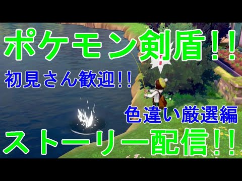 色違い金コイキング厳選配信！！パート6 ポケットモンスターソード【ポケモン剣盾】