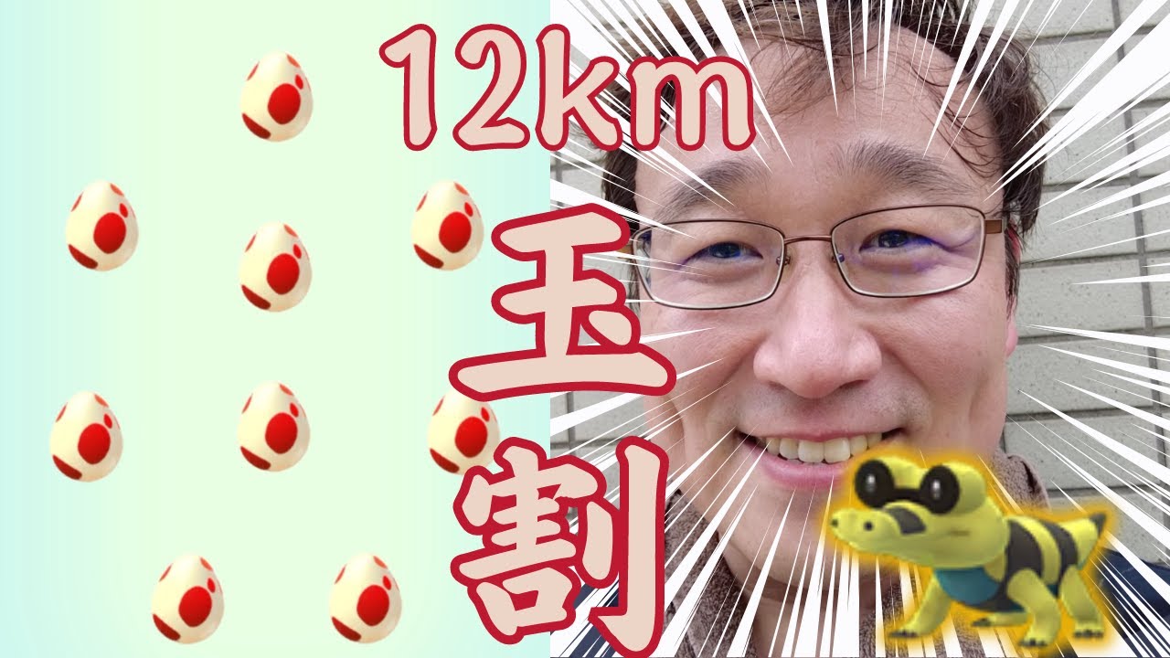 12km玉割してきました！結果はいかに!?出るか！メグロコ色違い！【ポケモンGO】