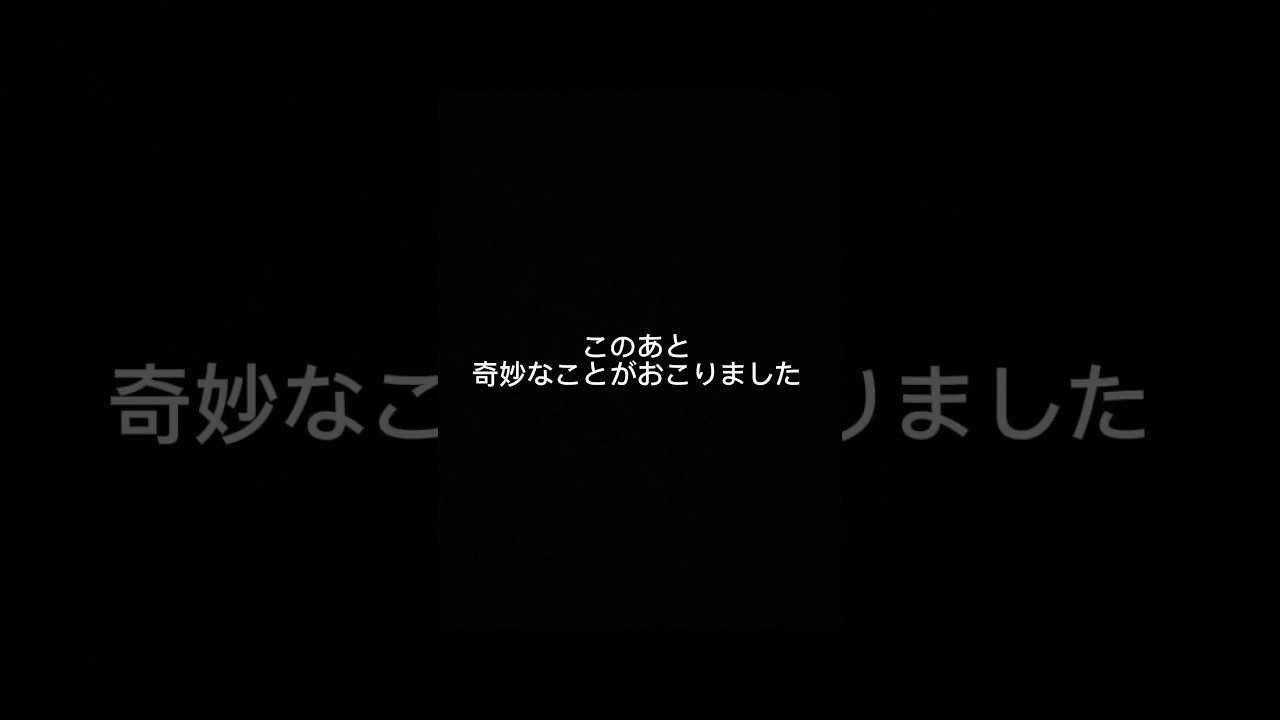 キツネザルにうんをつけてもらう（感謝）　#shorts 　#猫ミーム