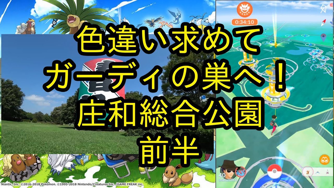 【ポケモンＧＯ】色違い求めてガーディの巣の庄和総合公園へ 前半