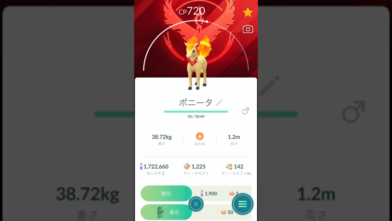 【ポケモンGO】スカーフポニータのスペシャル背景かっこよすぎる！ポニータ→ギャロップ！#shorts #pokemongo #ポケモンgo