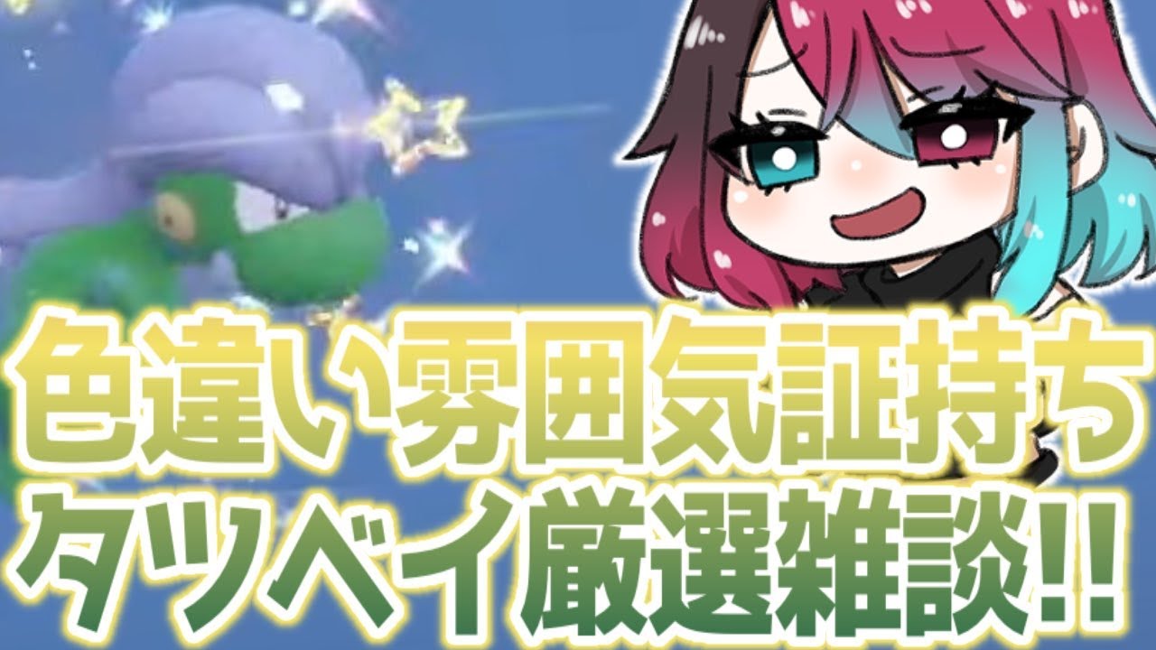 色違い雰囲気証タツベイ厳選雑談！！※バイオレット注意💦💦💦【ポケモンSV スカーレット バイオレット】