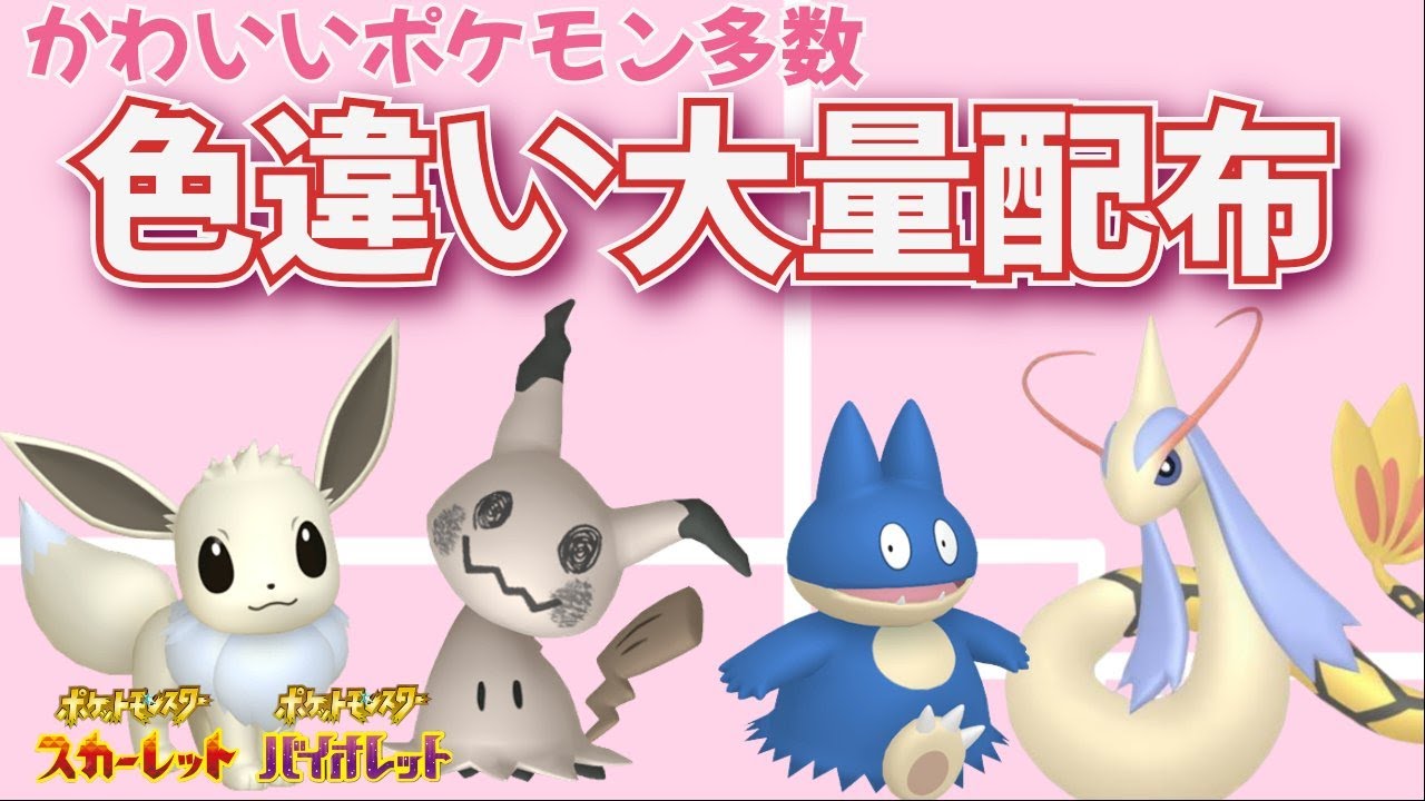 【ポケモンsv】最後は元気なイーブイ！？大量イロチポケモン配布会！【初見さん歓迎！】