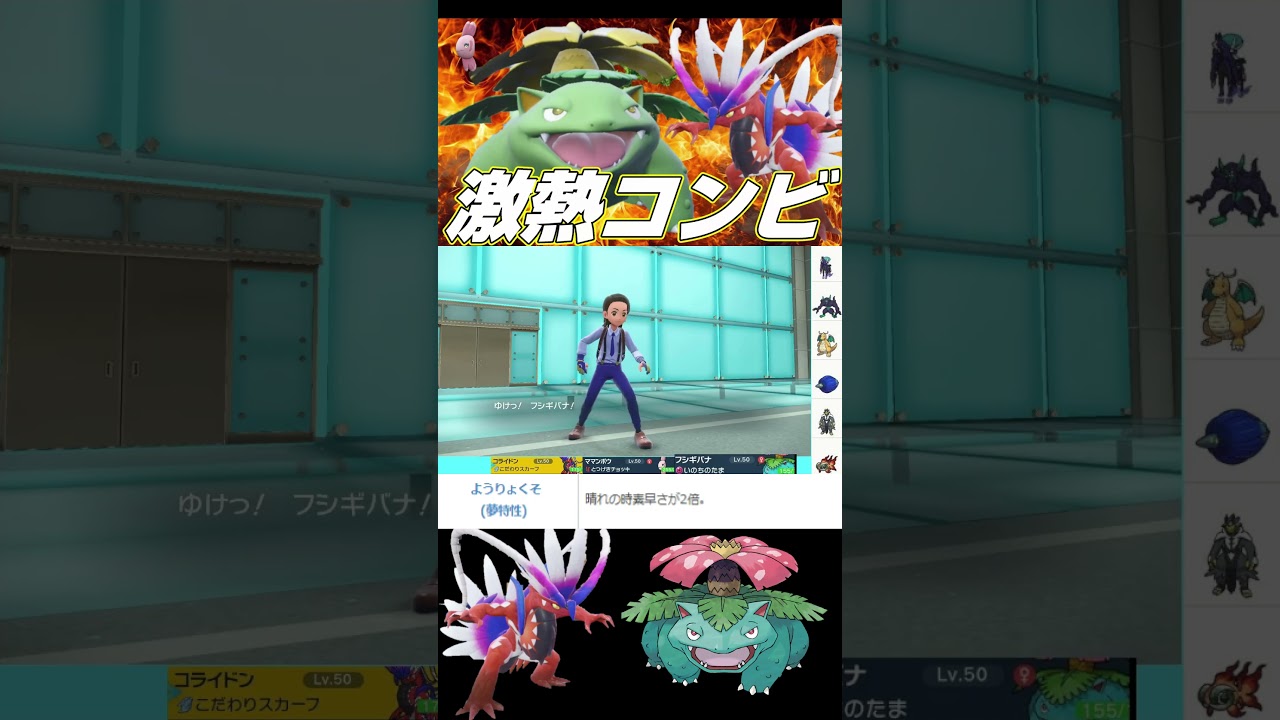 コライドン×フシギバナの激熱コンビで大暴れ【#ポケモンSV#ランクマッチ#スカーレットバイオレット#shorts】