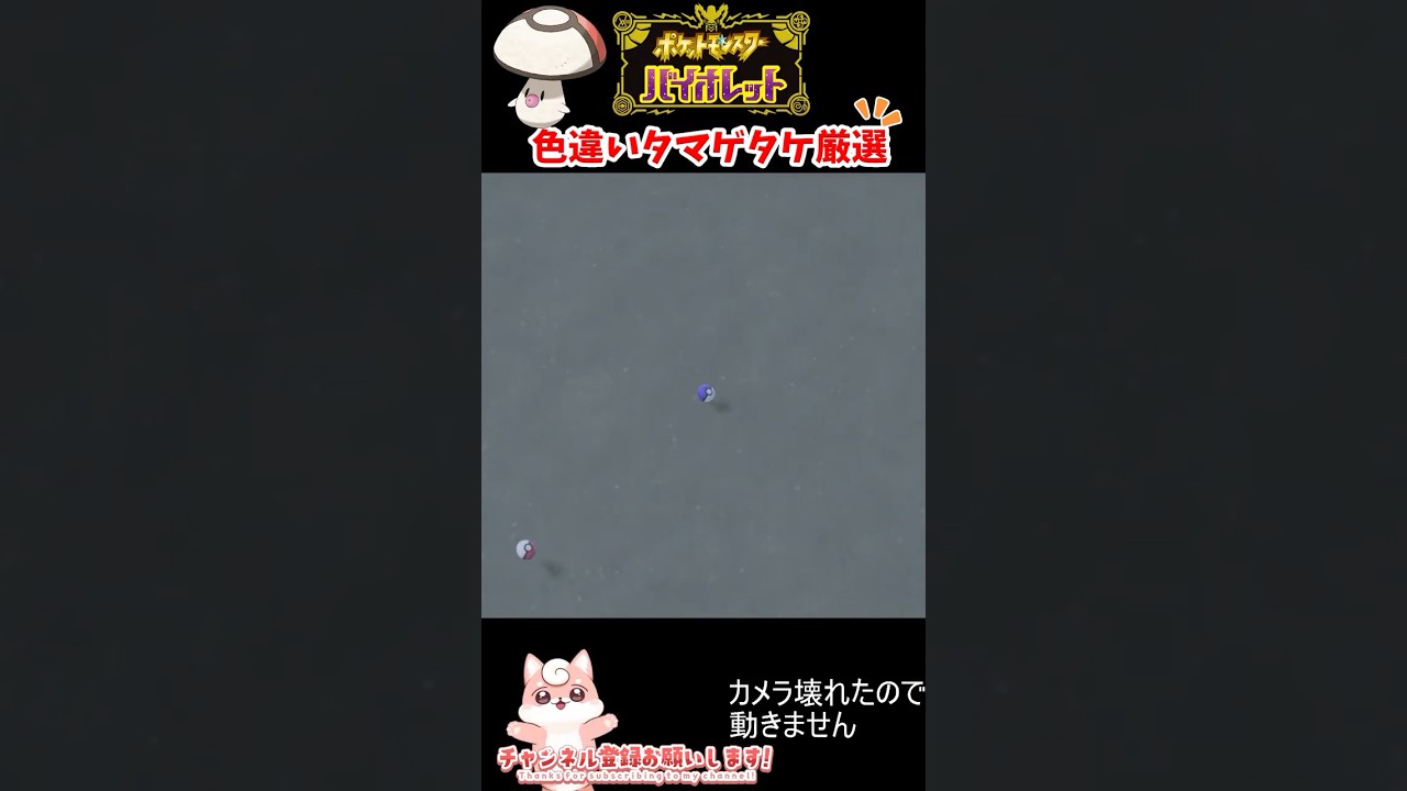 #ポケモンsv 色違いタマゲタケ出現シーン #vtuber #shorts